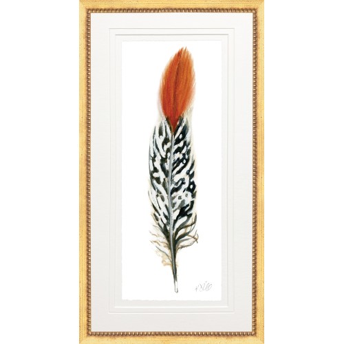 KS- PHEASANT FEATHER 2